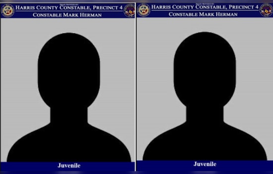 Two 14-Year-Olds Charged with Aggravated Robbery Following Incident on Windfern Road