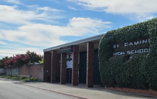 Two El Camino High Students in Sacramento Detained for Possession of Airsoft Gun and Knives on Campus