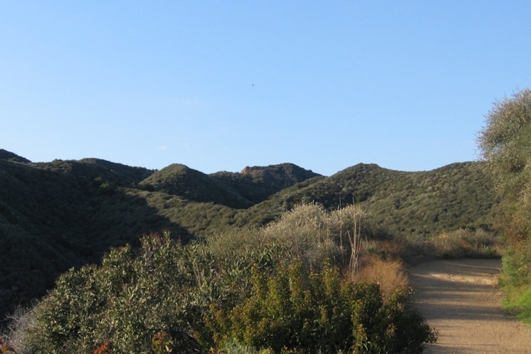 Two Hikers Rescued by LAFD in Aerial Operation at Will Rogers State Park Amid Heat Distress