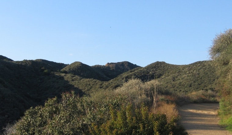 Two Hikers Rescued by LAFD in Aerial Operation at Will Rogers State Park Amid Heat Distress