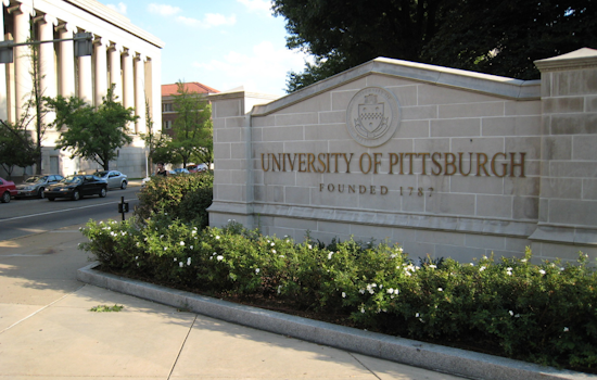 University of Pittsburgh Ousts Heather Lyke as Athletic Director, Seeks New Leadership Amidst Sports Evolution