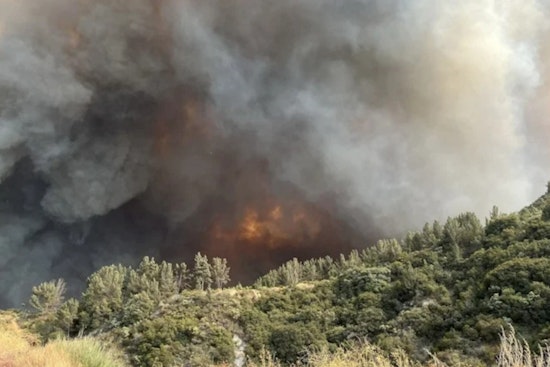 UPDATE: Thousands Evacuated as Line Fire in San Bernardino County Swells to 20,000 Acres, State of Emergency Declared