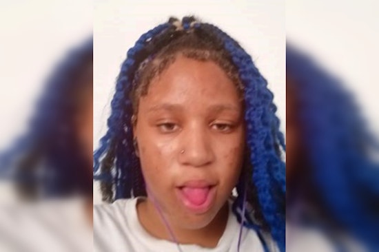Urgent Search for Missing 15-Year-Old Girl in Chicago's Touhy and Pottawattomie Park Areas