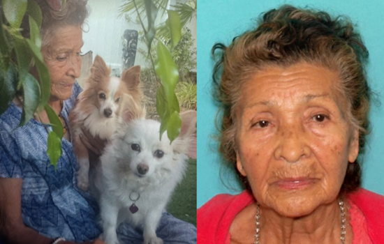 Urgent Search Underway for Missing At-Risk Senior Paula Sanderson in San Diego