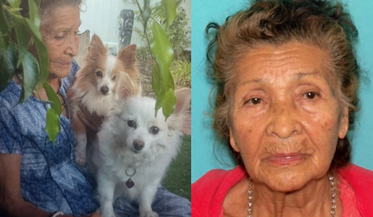 Urgent Search Underway for Missing At-Risk Senior Paula Sanderson in San Diego