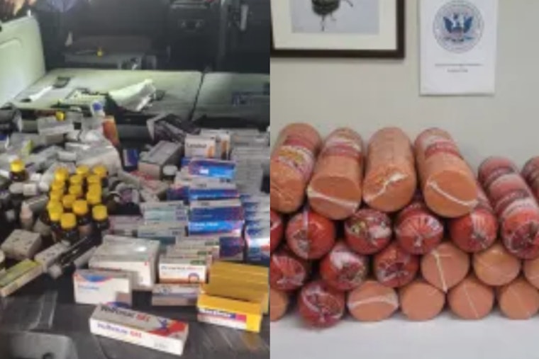 U.S. Customs Seizes Illegal Mexican Bologna and Prescription Meds at Presidio Port, Woman Fined $1,000