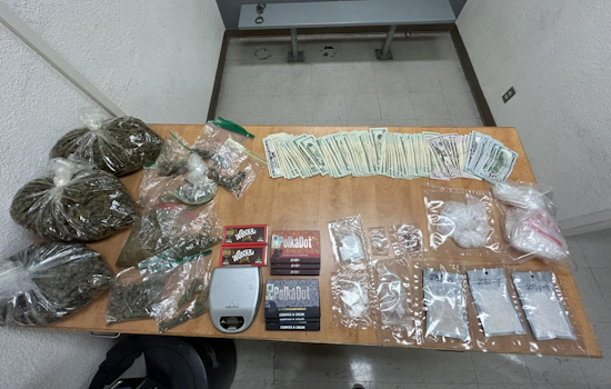 Vallejo Man Arrested in Hercules for Alleged Possession and Intent to Distribute Drugs