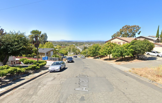Vallejo Mourns Sixth Traffic Fatality of the Year After Fiery Solo-Vehicle Crash on Avian Drive
