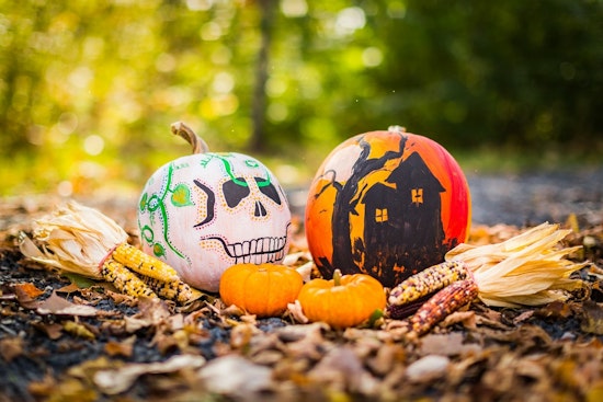 Volunteers Wanted for Family-Friendly Halloween Festivities at Westwood Hills Nature Center in St. Louis Park