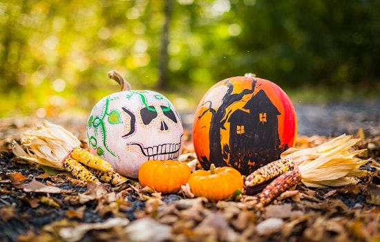 Volunteers Wanted for Family-Friendly Halloween Festivities at Westwood Hills Nature Center in St. Louis Park