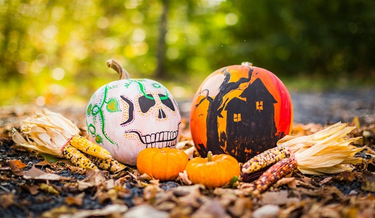 Volunteers Wanted for Family-Friendly Halloween Festivities at Westwood Hills Nature Center in St. Louis Park