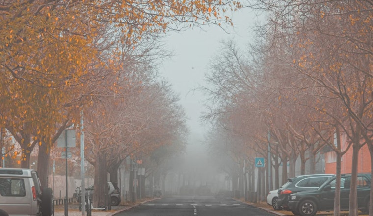 Warm and Sunny Weekend Ahead for Charlotte, NWS Issues Fog Advisory for Morning Commuters