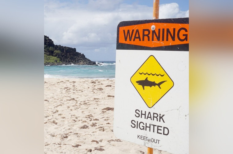 Warnings Issued at Oahu's Sunset Beach Due to Aggressive 10-Foot Shark Sightings