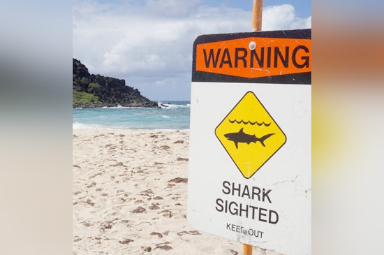 Warnings Issued at Oahu's Sunset Beach Due to Aggressive 10-Foot Shark Sightings