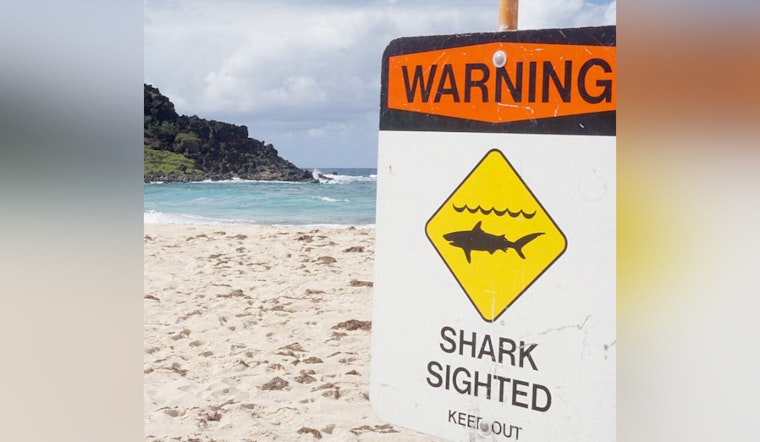 Warnings Issued at Oahu's Sunset Beach Due to Aggressive 10-Foot Shark Sightings