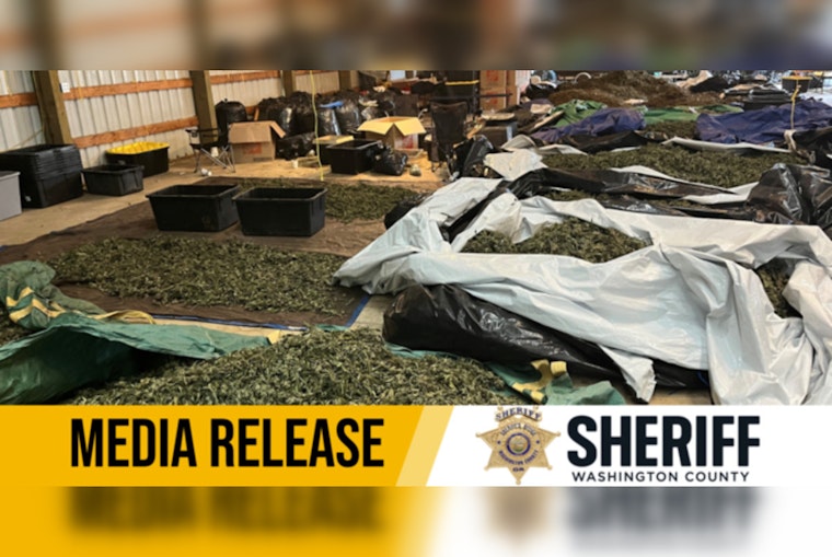 Washington County Sheriff's Office Busts Illegal Marijuana Operation Valued at $6 Million on SW Tongue Lane