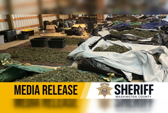 Washington County Sheriff's Office Busts Illegal Marijuana Operation Valued at $6 Million on SW Tongue Lane