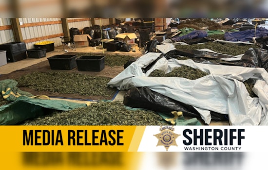Washington County Sheriff's Office Busts Illegal Marijuana Operation Valued at $6 Million on SW Tongue Lane