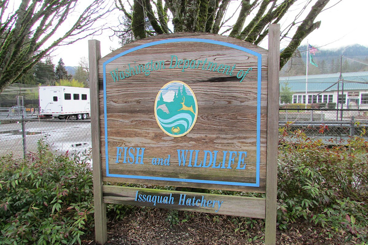 Washington Fish and Wildlife Commission to Tackle Environmental Issues at Spokane Meeting