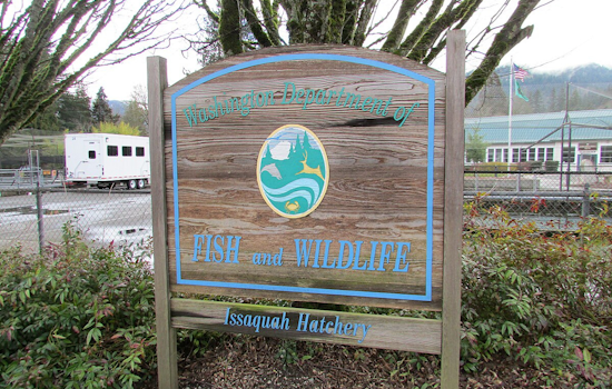 Washington Fish and Wildlife Commission to Tackle Environmental Issues at Spokane Meeting
