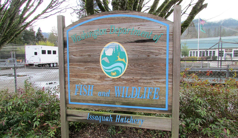 Washington Fish and Wildlife Commission to Tackle Environmental Issues at Spokane Meeting