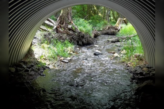 Washington Residents Invited to Review and Comment on WDFW's Draft Strategy for Salmon Passage