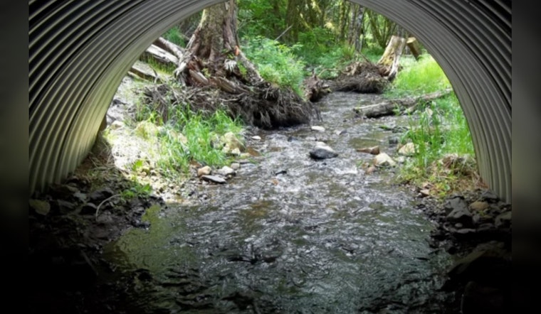 Washington Residents Invited to Review and Comment on WDFW's Draft Strategy for Salmon Passage