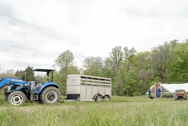 West Garfield Park's Transformation, Southside Blooms Sows Seeds of Hope with New Flower Farm
