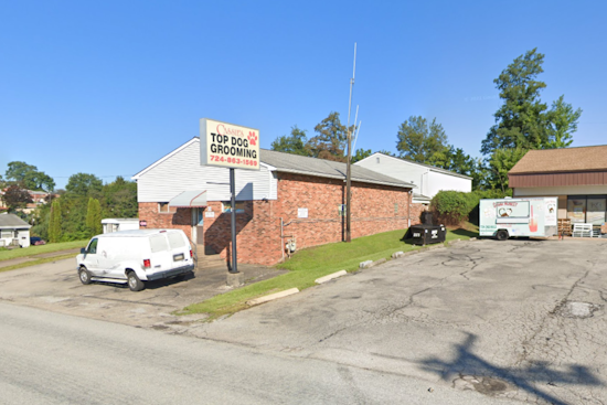 Westmoreland County Animal Rescue Offers $1,000 Reward for Information on Pitbull's Suspicious Death in West Newton
