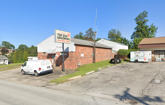 Westmoreland County Animal Rescue Offers $1,000 Reward for Information on Pitbull's Suspicious Death in West Newton