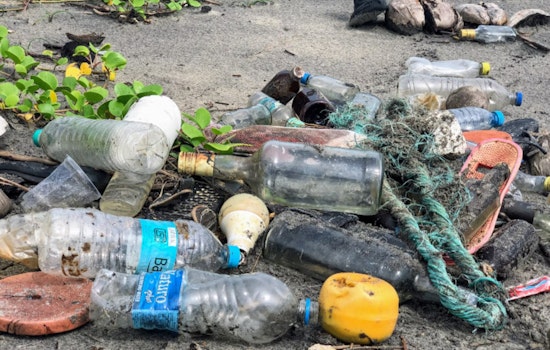 Williamson County Ramps Up Crackdown on Illegal Dumping with "You dump it, you clean it" Initiative