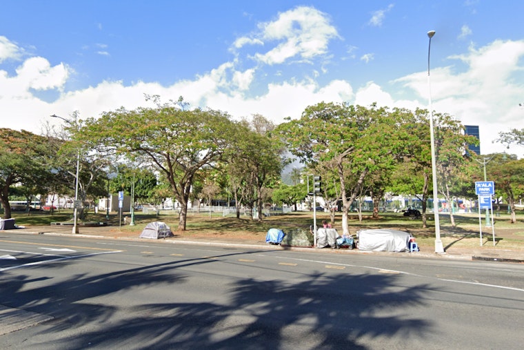 Woman, 66, in Serious Condition After Dog Attack Near Downtown Honolulu's A'ala Park
