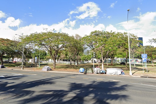 Woman, 66, in Serious Condition After Dog Attack Near Downtown Honolulu's A'ala Park
