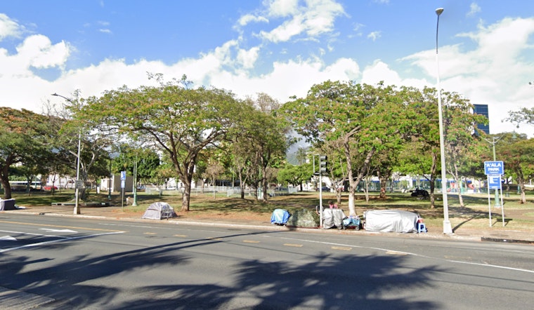 Woman, 66, in Serious Condition After Dog Attack Near Downtown Honolulu's A'ala Park