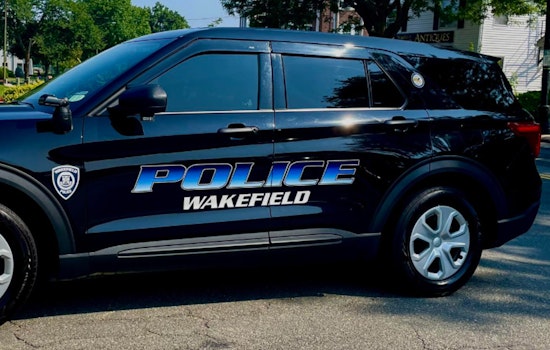 Woman Arrested for Allegedly Brandishing Rifle at Wakefield Porchfest