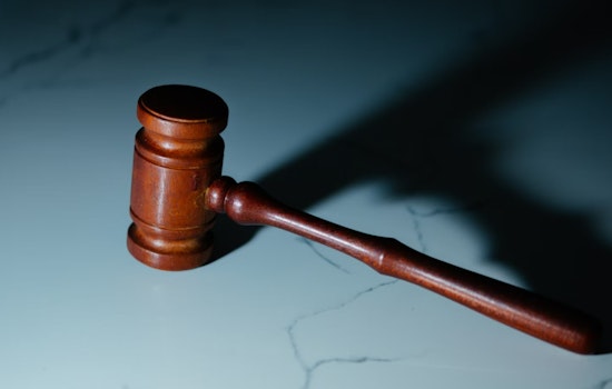 Woman Pleads Guilty in Sinister Child Smuggling Operation, Sedation and Deception Uncovered