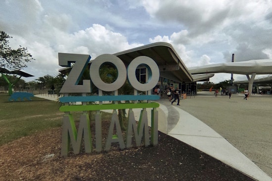 Zoo Miami Launches "My Zoo Keepers Program" to Bolster Conservation Efforts with Community Engagement