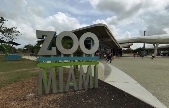 Zoo Miami Launches "My Zoo Keepers Program" to Bolster Conservation Efforts with Community Engagement