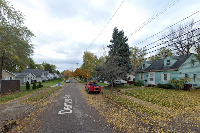 15 Dead and 6 Rescued Cats Prompt Investigation and Possible Charges in Lansing Home Raid