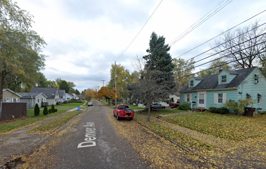 15 Dead and 6 Rescued Cats Prompt Investigation and Possible Charges in Lansing Home Raid