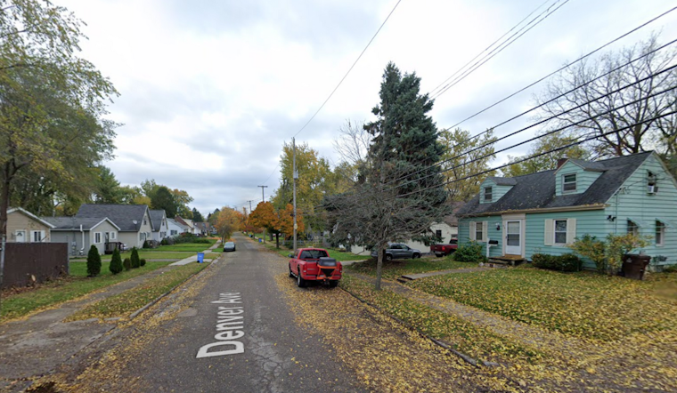 15 Dead and 6 Rescued Cats Prompt Investigation and Possible Charges in Lansing Home Raid