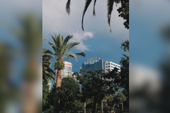 Orlando to Experience Unseasonably Cold Weather with Advisory in Effect, NWS Warns of Increased Fire Risks