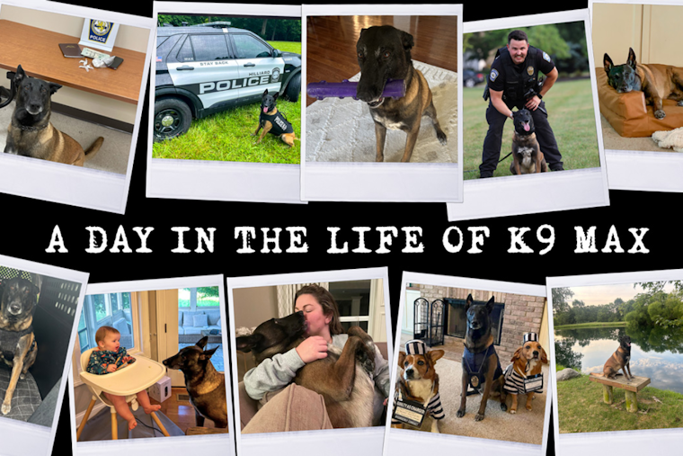 A Day in the Life of Hilliard's Finest: K9 Max Balances Law Enforcement Duties with Family Life
