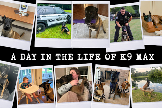 A Day in the Life of Hilliard's Finest: K9 Max Balances Law Enforcement Duties with Family Life