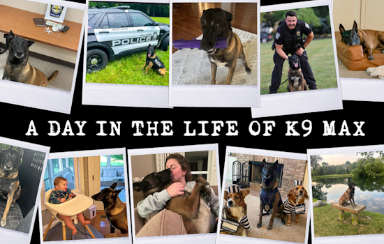 A Day in the Life of Hilliard's Finest: K9 Max Balances Law Enforcement Duties with Family Life