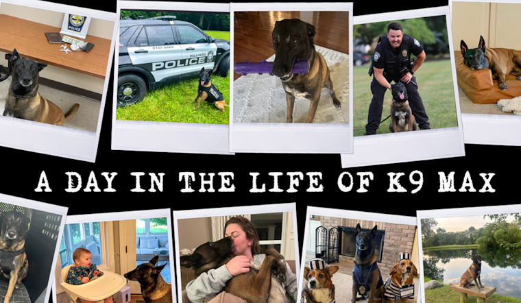 A Day in the Life of Hilliard's Finest: K9 Max Balances Law Enforcement Duties with Family Life