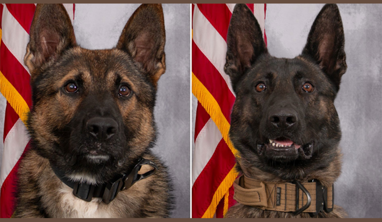 Allegan County K9 Officers Kyro and Zadok to Receive Protective Vests from Nonprofit