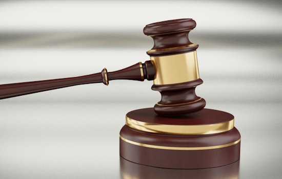 Alvin Sex Offender Sentenced to 30 Years for Distributing Child Abuse Material Online