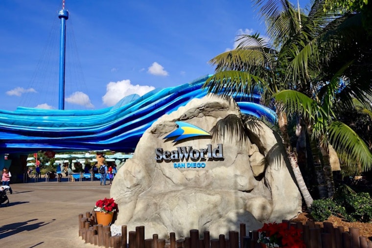 Arizona Teachers Dive Into Free SeaWorld San Diego Access in 2025