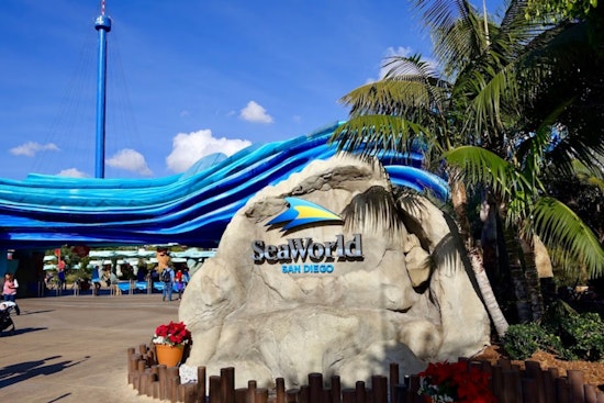 Arizona Teachers Dive Into Free SeaWorld San Diego Access in 2025